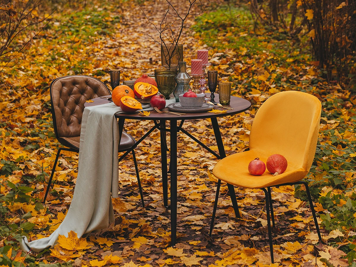 купить Стул Beetle в интернет-магазине в Москве купить Стул Beetle в интернет-магазине