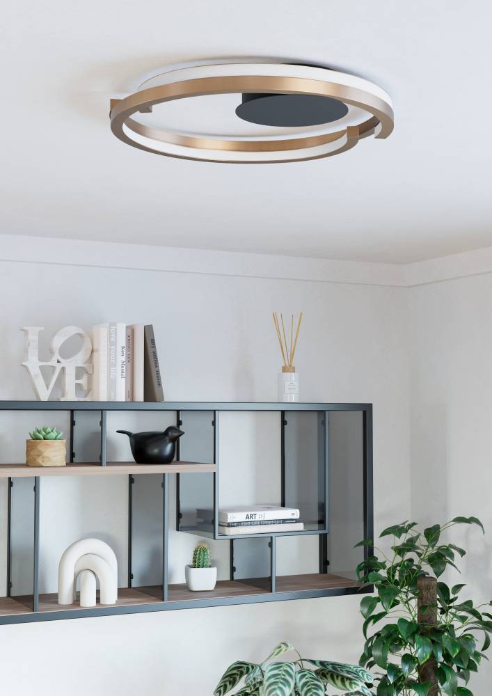 купить 901825 Светодиодный настенно-потолочный светильник с регулировкой цветовой температуры MEZZOMONTE, 1X20W 1X20W(LED LED), 2700-6500K, 2220 2220lm, алюм в Москве купить 901825 Светодиодный настенно-потолочный светильник с регулировкой цветовой температуры MEZZOMONTE, 1X20W 1X20W(LED LED), 2700-6500K, 2220 2220lm, алюм