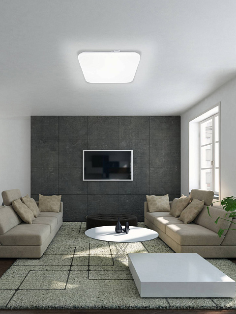 97875 Светильник настенно-потолочный светодиодный FRANIA