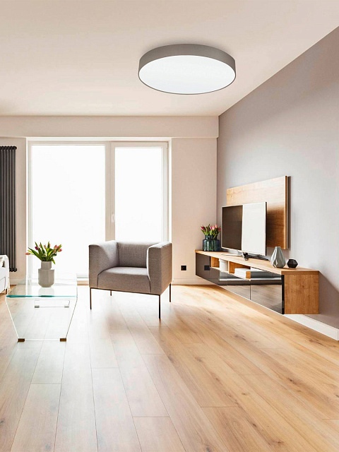 97616 Светильник потолочный PASTERI