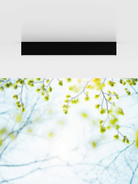 900261 Уличный накладной светильник SALITTA