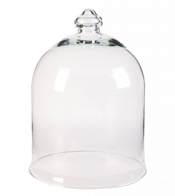 Колпак для цветов Agatha Vase в Москве Колпак для цветов Agatha Vase