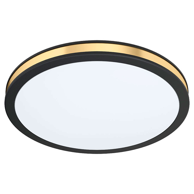 99406 Настенно-потолочный светильник светодиодный PESCAITO