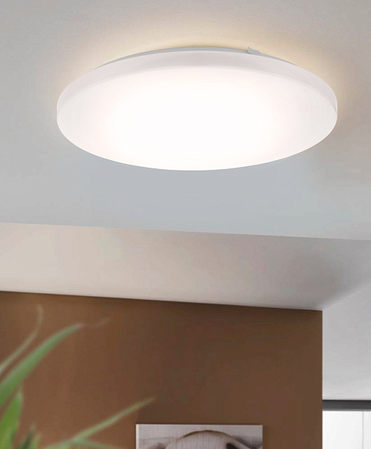 97873 Светильник настенно-потолочный светодиодный FRANIA