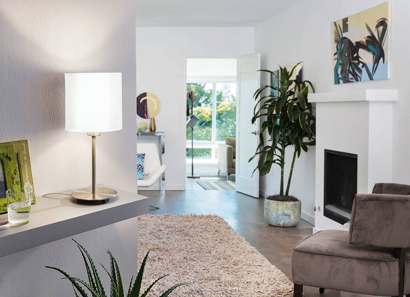 95725 Настольная лампа PASTERI