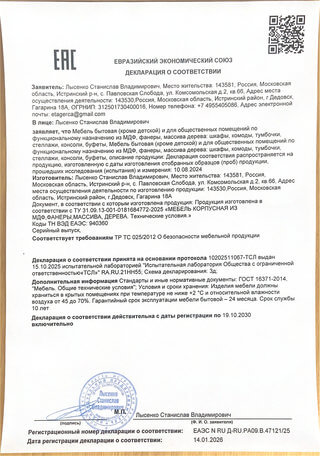 ЕВРАЗИЙСКИЙ ЭКОНОМИЧЕСКИЙ СОЮЗ ДЕКЛАРАЦИЯ О СООТВЕТСТВИИ № ЕАЭС N RU Д-RU.PA09.B.47121/25