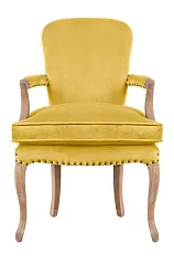 стильное Мягкое полукресло с подлокотниками Anver Oak Yellow