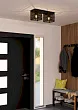 900356 Потолочный светильник PIEDRITAS, 2x40W, E27, L515, B180, H205, сталь, черный №0