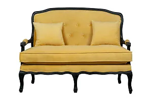 Дизайнерский двухместный диван Yareli Yellow