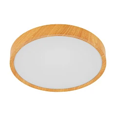 98601 Светодиодный потолочный светильник MUSURITA