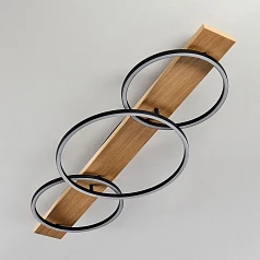 фото 99468 Светодиодный потолочный светильник BOYAL