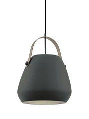 купить 98349 Подвесной потолочный светильник (люстра) BEDNALL