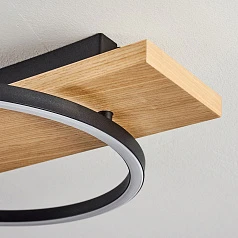 фото 99468 Светодиодный потолочный светильник BOYAL