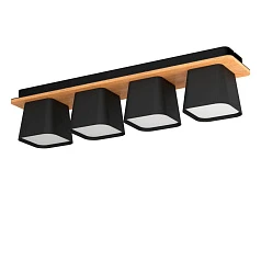 купить 390008 Потолочный светильник RUSCIO