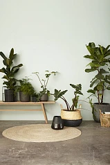 СКАМЬЯ HUBSCH ИЗ ДУБА в интерьере