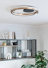 заказать 901825 Светодиодный настенно-потолочный светильник с регулировкой цветовой температуры MEZZOMONTE, 1X20W 1X20W(LED LED), 2700-6500K, 2220 2220lm, алюм