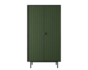 купить стильный Шкаф двухдверный "Emerson" арт EM091/green/L в интернет-магазине