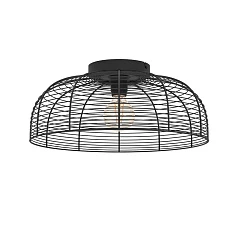 43896 Потолочная люстра RINROE, 1х40W (E27), H200, ?450, сталь, черный на заказ