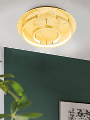 98487 Светильник потолочный светодиодный POZONDON