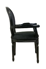 заказать Мягкий стул с подлокотниками Diella Black Velvet в интернет-магазине